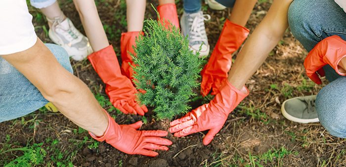 How to Increase Your Community Presence as a Real Estate Agent © Pixel-Shot / Adobe Stock