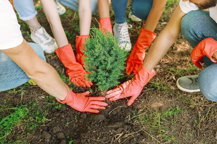 AdobeStock_285995419_Pixel-Shot_RESIZED