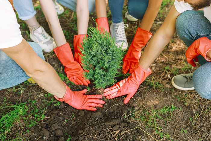 How to Increase Your Presence in the Community as a Real Estate Agent